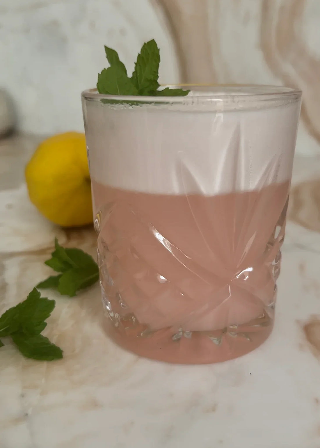 Rhubarb Mint Gin Fizz